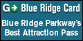 NEW - Go Blue Ridge Card