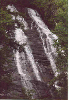 A portion of Amicalola falls
