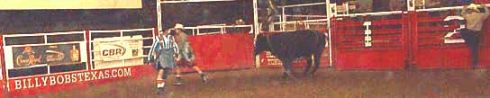 Here rodeo clowns distract a bull while the rider gets to safety