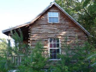 Side view of Michelle's Log Cabin near the horse pasture