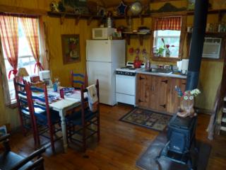 Texas Lone Star Cabin old western style kitchen
